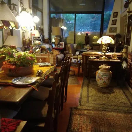 The Garden Bed & Breakfast 3*