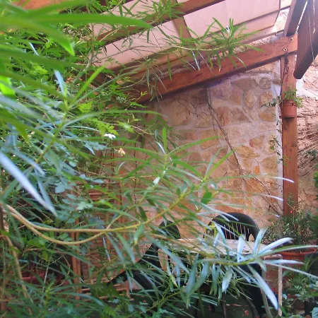 The Garden